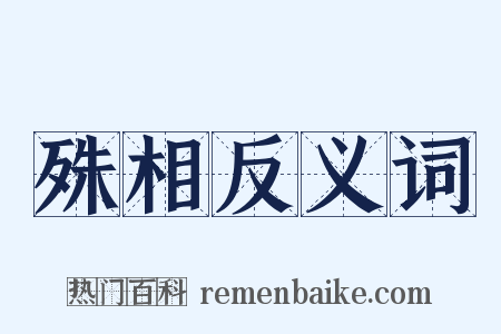 殊相反义词是什么意思的图片